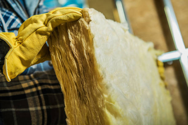 Best Eco-Friendly Insulation in Erwin, NC