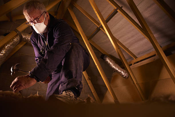 Professional Insulation Contractor in Erwin, NC